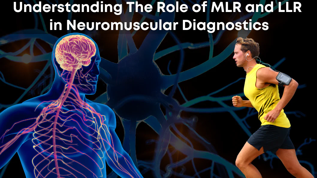 Understanding the Role of MLR and LLR in Neuromuscular Diagnostics